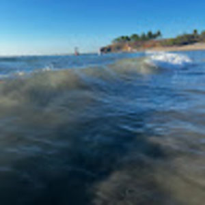 Meet your Posher, Addison